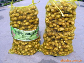 萊蕪市萊城區(qū)振興農(nóng)副產(chǎn)品綜合加工廠官方網(wǎng)站 - 健康零食，源自純正農(nóng)產(chǎn)