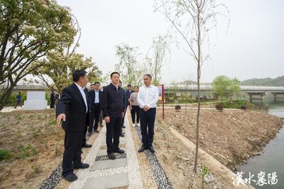 王祺揚強調 推進農文旅深度融合，以農業托管服務打造鄉村振興新引擎