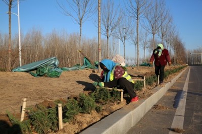 濱州33項園林綠化新建續(xù)建工程本月底前全面開工