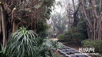唐山世園熱帶植物館 奧秘與魅力的交織，體育場地設施工程的匠心打造